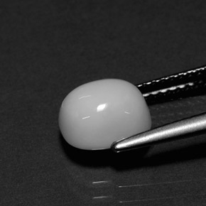 Coral blanco natural de 2,26 ct, corte óvalo, opaco