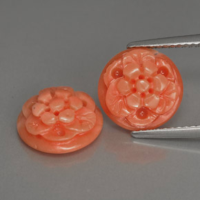 Gemas de coral rosa natural de  ct, forma elegante, opaco
