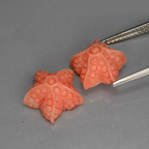 Gemas de Coral Salmón natural de  ct, Forma elegante, Opaco