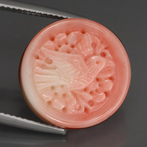 Coral rosa natural de 13,47 ct, forma elegante, opaco