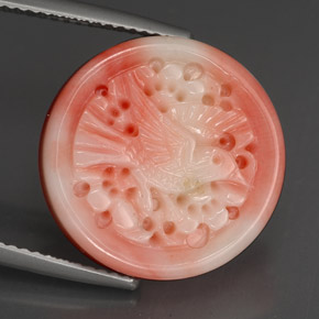 Coral multicolor natural de 12,80 ct, forma elegante, opaco