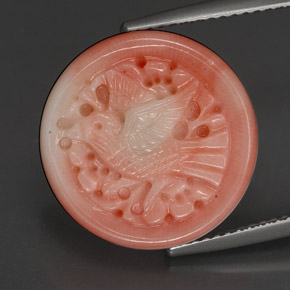 Coral rosa natural de 13,09 ct, forma elegante, opaco