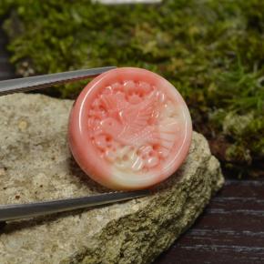 Coral multicolor natural de 12,62 ct, forma elegante, opaco