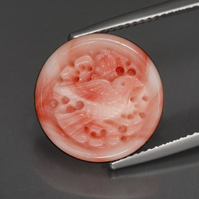 Coral multicolor natural de 9,20 ct, forma elegante, opaco