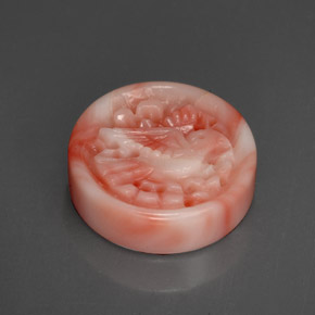 Coral multicolor natural de 9,20 ct, forma elegante, opaco