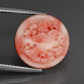 Coral multicolor natural de 9,20 ct, forma elegante, opaco