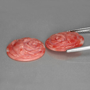 Gemas de Coral Salmón natural de  ct, Forma elegante, Opaco