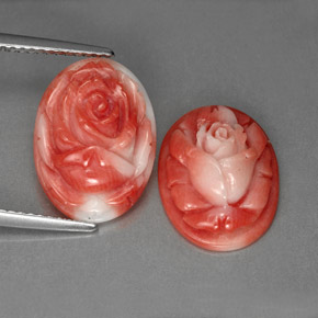 Gemas de coral rosa natural de  ct, forma elegante, opaco