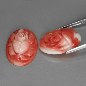 Gemas de coral rosa natural de  ct, forma elegante, opaco