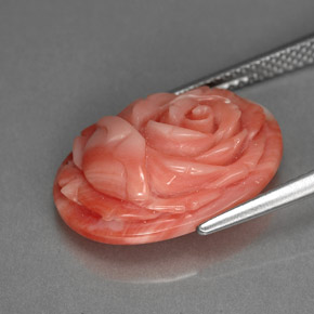 Coral rosa natural de 7,89 ct, forma elegante, opaco
