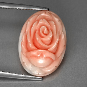 Coral rosa natural de 6,20 ct, forma elegante, opaco