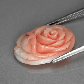 Coral rosa natural de 6,20 ct, forma elegante, opaco