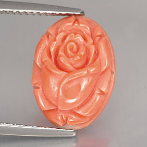 Coral rosa natural de 5,90 ct, forma elegante, opaco