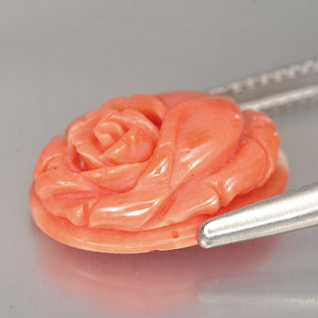 Coral rosa natural de 5,90 ct, forma elegante, opaco