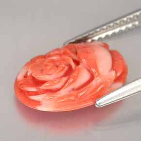 Coral Salmón natural de 2.36 ct, Forma elegante, Opaco