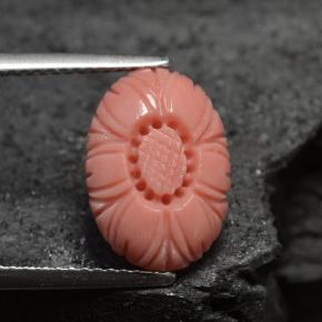 Coral rosa natural de 3,66 ct, forma elegante, opaco