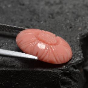 Coral rosa natural de 3,66 ct, forma elegante, opaco