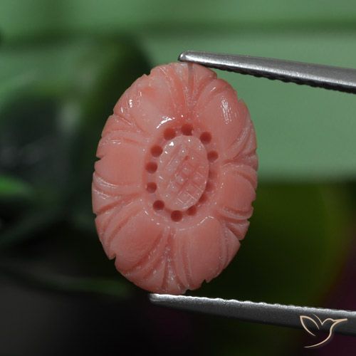 3.19ct Natural Tono rosado rojizo Coral, Corte Flor, Opaco, Photo A