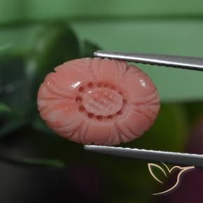 Coral Tono rosado rojizo natural de 3.19 ct, Corte Flor, Opaco