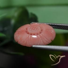 Coral Tono rosado rojizo natural de 3.19 ct, Corte Flor, Opaco