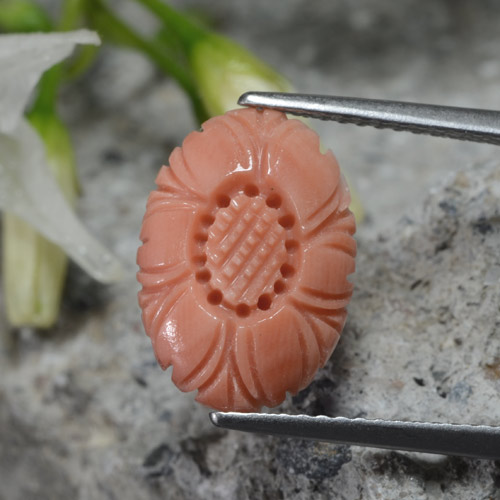 Coral rosa natural de 2,80 ct, corte flor, opaco