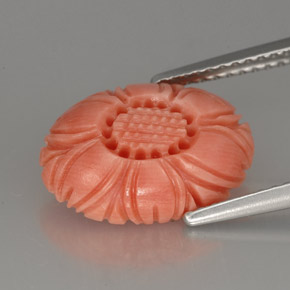 Coral rosa natural de 3,24 ct, forma elegante, opaco