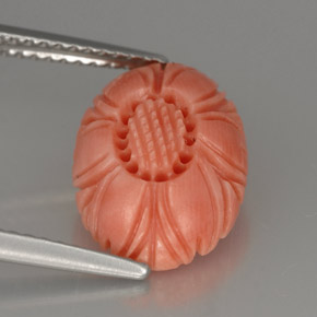 Coral rosa natural de 3,24 ct, forma elegante, opaco