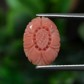 Coral rosa natural de 3,00 ct, corte flor, opaco