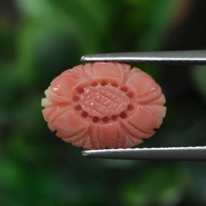 Coral rosa natural de 3,00 ct, corte flor, opaco