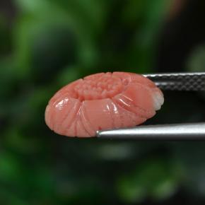 Coral rosa natural de 3,00 ct, corte flor, opaco