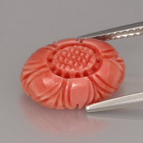 Coral rosa natural de 3,97 ct, forma elegante, opaco