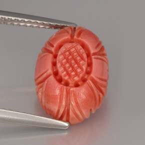 Coral rosa natural de 3,97 ct, forma elegante, opaco