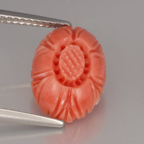 Coral rosa natural de 3,32 ct, forma elegante, opaco