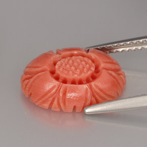 Coral rosa natural de 3,32 ct, forma elegante, opaco