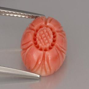 Coral rosa natural de 4,16 ct, forma elegante, opaco