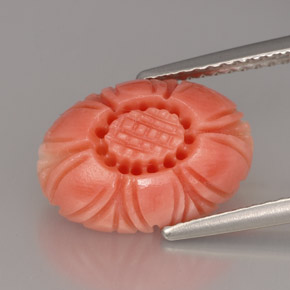 Coral rosa natural de 4,16 ct, forma elegante, opaco