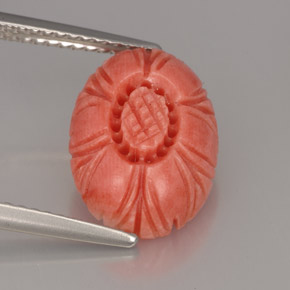 Coral rosa natural de 4,16 ct, forma elegante, opaco