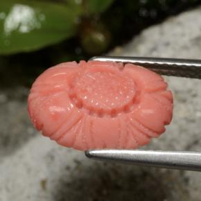 Coral rojo natural de 3,10 ct, corte flor, opaco