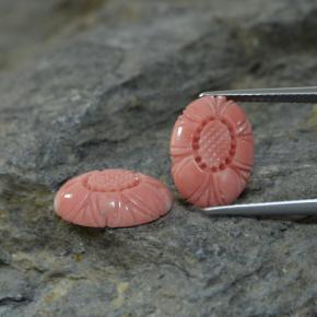 Gemas de coral rosa natural de  ct, forma elegante, opaco