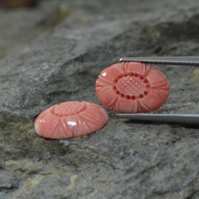 Gemas de coral rosa natural de  ct, forma elegante, opaco