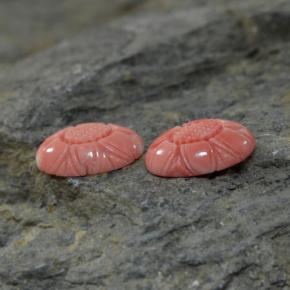 Gemas de coral rosa natural de  ct, forma elegante, opaco