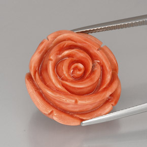 Coral rosa natural de 40,94 ct, forma elegante, opaco
