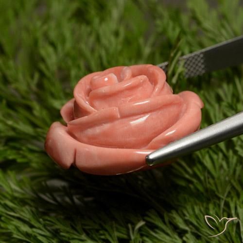 Coral Rosado medio natural de 31.12 ct, Corte Flor, Opaco