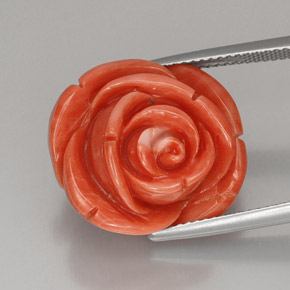 Coral rosa natural de 22,75 ct, forma elegante, opaco