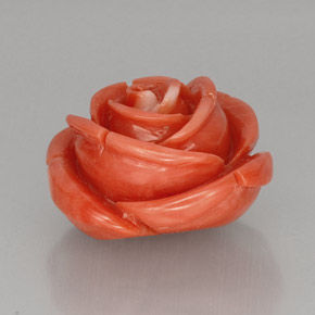 Coral rosa natural de 22,75 ct, forma elegante, opaco