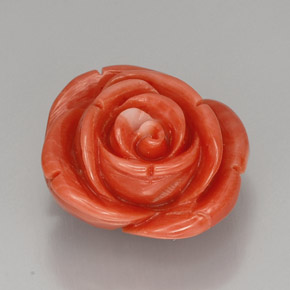 Coral rosa natural de 22,75 ct, forma elegante, opaco