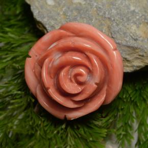 Coral rosa natural de 23,75 ct, forma elegante, opaco