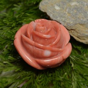 Coral rosa natural de 23,75 ct, forma elegante, opaco