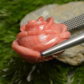 Coral rosa natural de 23,75 ct, forma elegante, opaco