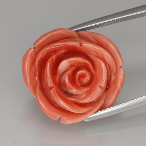 Coral Salmón natural de 21.52 ct, Forma elegante, Opaco